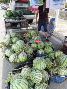 固始网红吃瓜事件,揭秘网络舆论背后的真相与争议  第2张