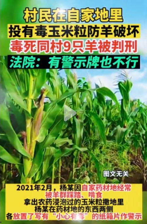 51吃瓜群网,揭秘娱乐圈幕后故事，带你领略明星真实生活  第2张