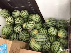 51吃瓜群网,揭秘娱乐圈幕后故事，带你领略明星真实生活  第3张