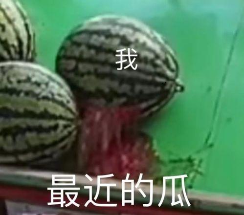 网暴吃瓜圈,吃瓜圈背后的黑暗面  第2张