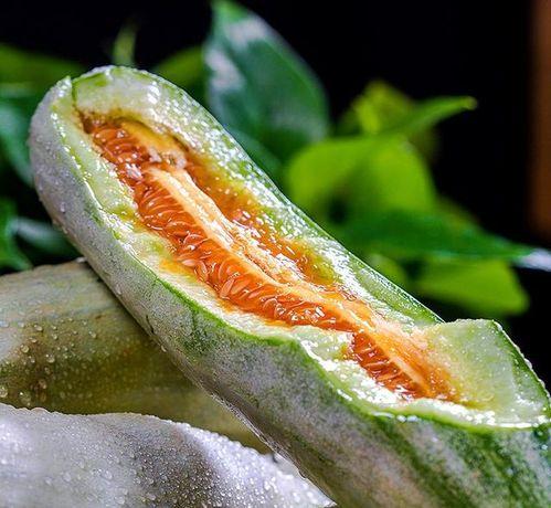 山东网红甜瓜送吃瓜神器,夏日狂欢新潮流  第1张