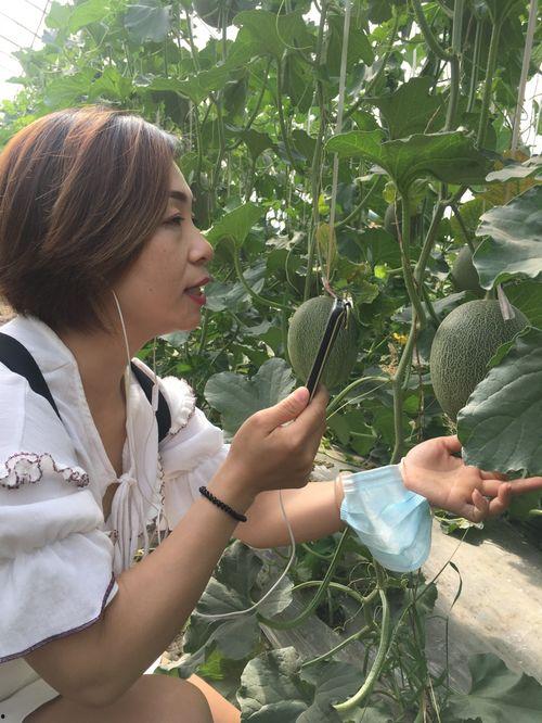 吃瓜八卦网红名字叫什么  第2张
